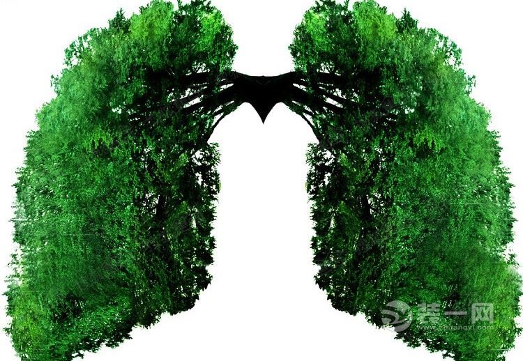 "城市绿肺"辽河国家湿地公园下月开建 位沈北新区